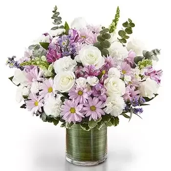 Fujairah kvety- Kvitnúca Kráska