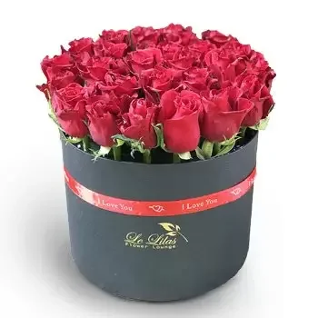 Ain El rihaneh rože- Fresh One Cvet Dostava