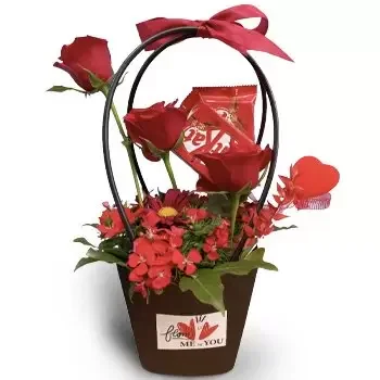 Bekaa cvijeća- Svemir Cvijet Isporuke
