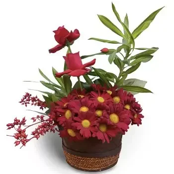 Saïda flowers  -  Pure Love Flower Delivery