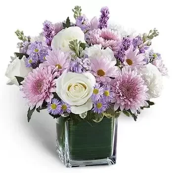 Al Jurainah 3 flowers  -  Memorable Flowers Delivery