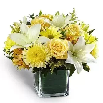 בור דובאי פרחים- טריות מובטחת פרח משלוח