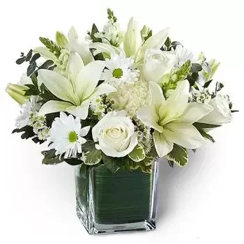 flores Jabal Ali 1 floristeria -  alegría floreciente Ramos de  con entrega a domicilio