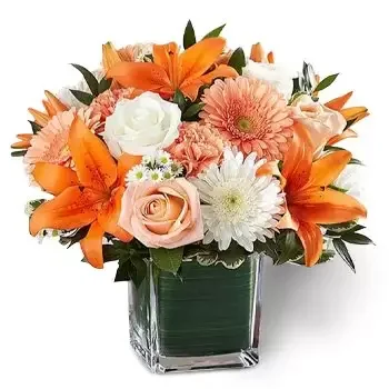 Al-Qiṭa 8 flowers  -  Traditional Touch Flower Delivery