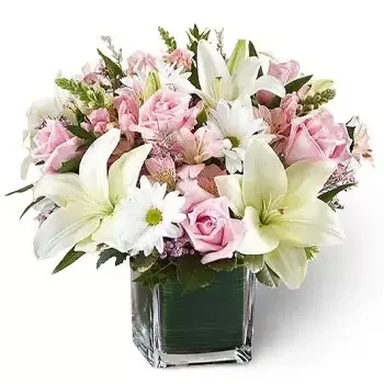 Discovery garden flowers  -  Pretty Soft Flower Delivery