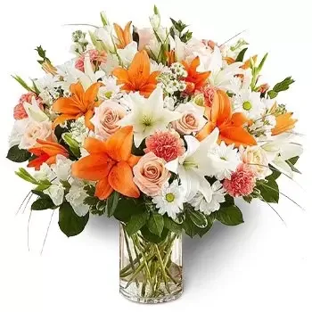 Fujairah blomster- Imponerende Peachy