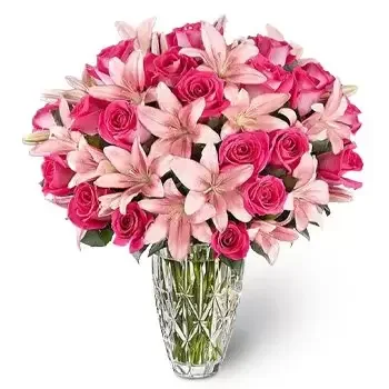 Sharjah cvijeća- Čarobna boja Cvijet Isporuke