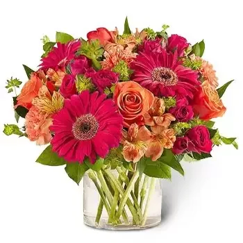 DIFC פרחים- תוססת פריחה פרח משלוח