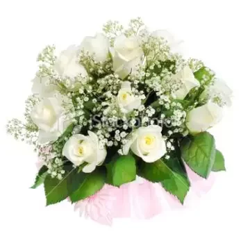 flores de Tenerife- Romance branco macio Flor Entrega
