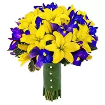 بائع زهور دون كارلوس- رومانسية الربيع زهرة التسليم