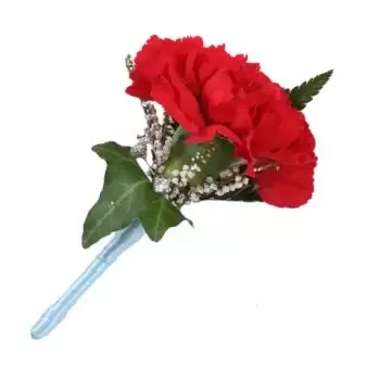 Tenerife flowers  -  Carnation Buttonhole Flower Delivery