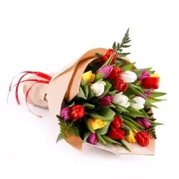Венгрия цветы- Красочные тюльпаны - Букет Цветок Доставка