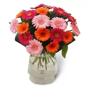 Bagienice Duze bunga- Pelbagai Warna Bunga Penghantaran