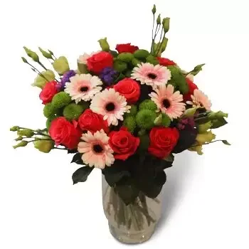 Μπάνσκα Νίζνα λουλούδια- Μίνι ζέρμπερες Λουλούδι Παράδοση