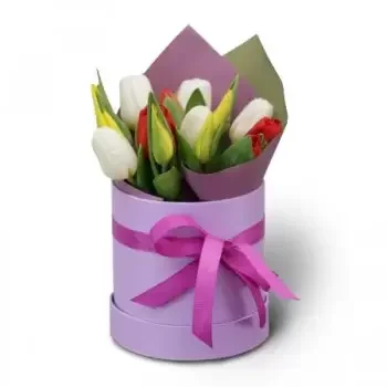 Hungary flowers  -  COLORFUL TULIPS - FLOWER BOX Delivery