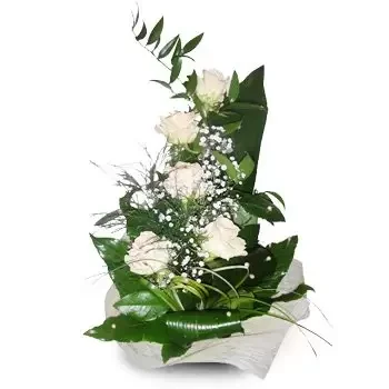 Babki Gaseckie bunga- keanggunan putih Bunga Penghantaran