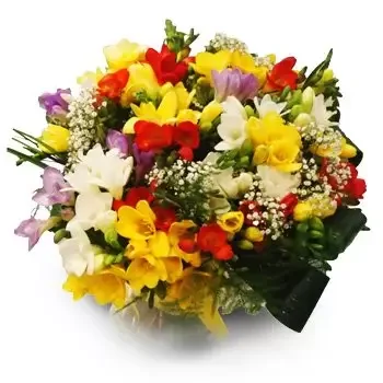 Barchaczow λουλούδια- Κίτρινο και κόκκινο Λουλούδι Παράδοση