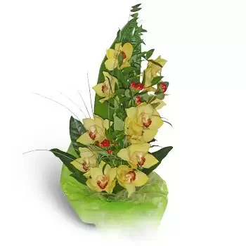 fleuriste fleurs de Baraniec- Bouquet Vert Fleur Livraison