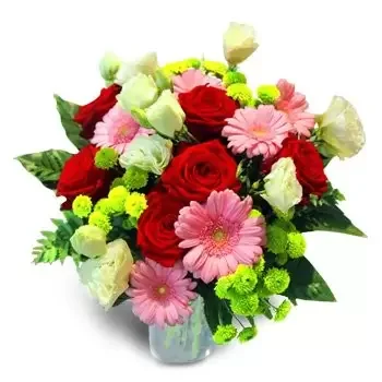 Badrzychowice bunga- Cinta Gerbera Bunga Pengiriman
