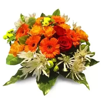 Бачути-Колония цветы- Красивый букет Цветок Доставка