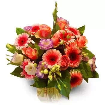fiorista fiori di Barany- auguri Fiore Consegna