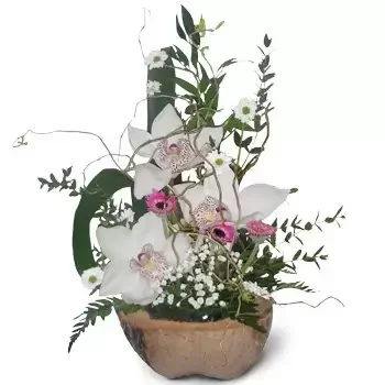 Бартково цветы- Особенный Цветок Доставка
