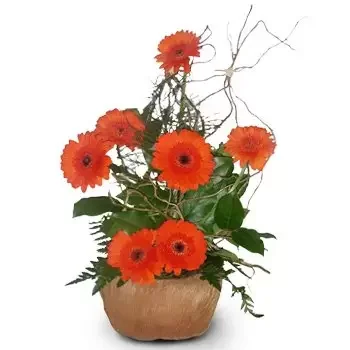 fleuriste fleurs de Babieta- Combinaison orange Fleur Livraison