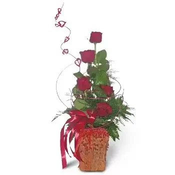 Adamow Drwalewski bunga- Yang Merah Bunga Penghantaran