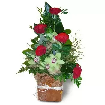 Bagieniec bunga- Kotak Mewah Bunga Pengiriman