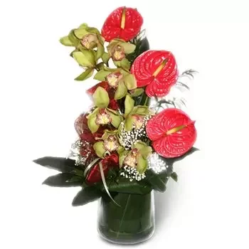Barglow Dworny rože- raj Cvet Dostava