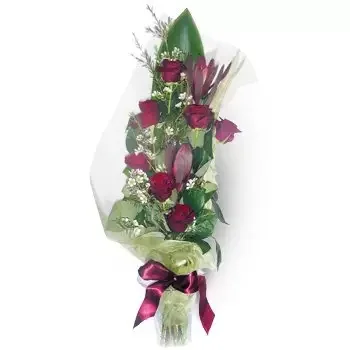 Aptynty λουλούδια- Maroon Addition Λουλούδι Παράδοση