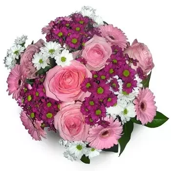 Barnim rože- Bela in roza Cvet Dostava