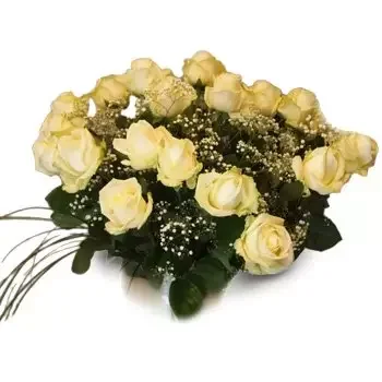 Aleksandria Niedzialowska rože- Beli aranžma 3 Cvet Dostava