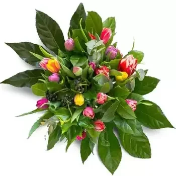 דבלין פרחים- מסודר להפליא פרח משלוח