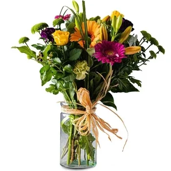 דבלין פרחים- צבעים טריים פרח משלוח