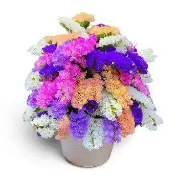 Santa Ines blomster- Farverige Vibes Blomst Levering