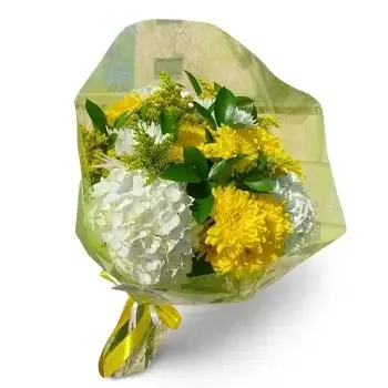 Кала Салада цветя- Слънчева светлина Цвете Доставка