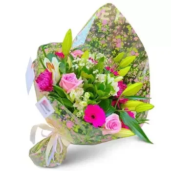 칼라 카보 꽃- 여러 가지 빛깔의 배열 꽃 배달