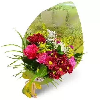 fiorista fiori di Niu Blau- Occasione speciale Fiore Consegna