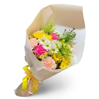 Cala Xarraca kvety- Zmiešané zabalené Kvet Doručenie