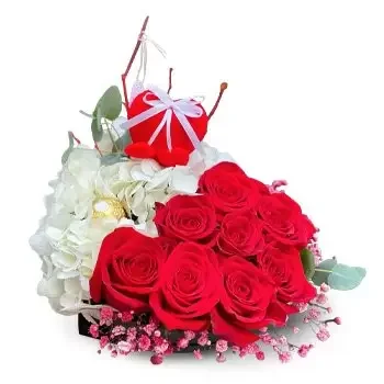 이 비자 꽃- 붉은 미소 꽃 배달