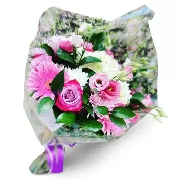 بائع زهور كالا سالادا- مثالي زهرة التسليم