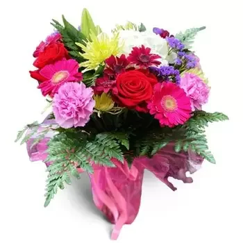 바이로 사 페냐 꽃- 우아한 아름다움 꽃 배달