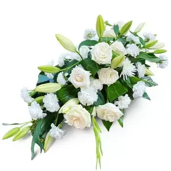 칼라 존달 꽃- 흰 꽃 꽃 배달