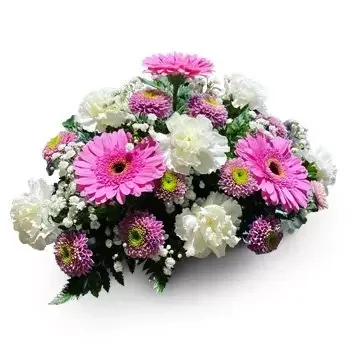 بائع زهور كالا سالادا- خيال زهرة التسليم
