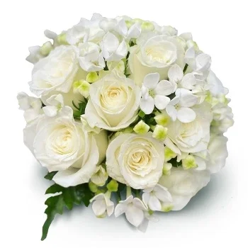 بائع زهور كالا سالادا- سلام للجميع زهرة التسليم