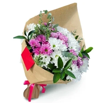 라스 살리나스 꽃- 화이트 샤인 꽃 배달