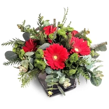 Πόρτο Μονίζ λουλούδια- Βασιλικό Κόκκινο Λουλούδι Παράδοση