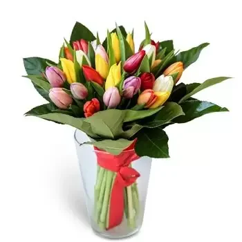 Hamuliakovo Blumen Florist- Ein Strauß bunter Tulpen Blumen Lieferung