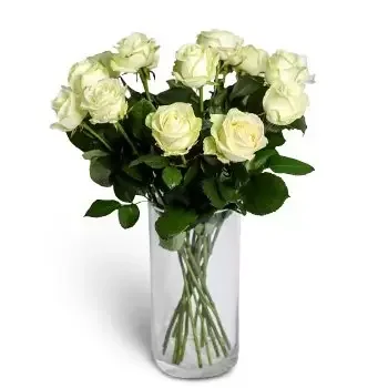 بائع زهور فينوسادي- متطور زهرة التسليم